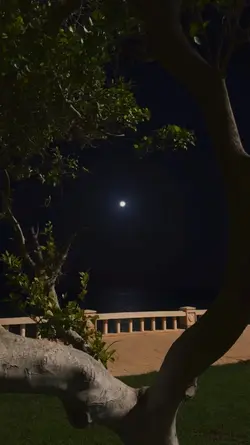 1VIDEO/FOTO SAD