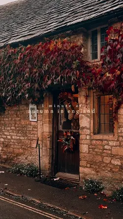 1 minute of autumn