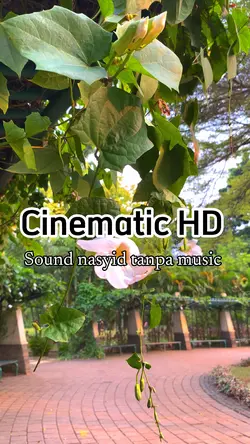 Cinematic aestetik