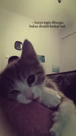 kata kata 