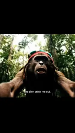RASTA MONKEY