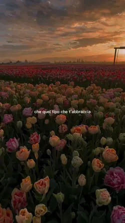 Romantica - Ultimo