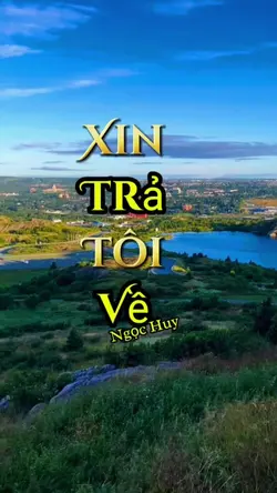Nhạc Vàng Bolero