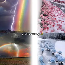 Prettiest things😻