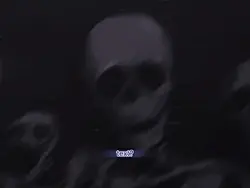 your text?