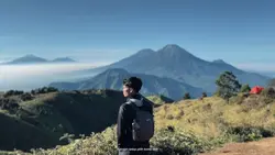 versi landscape 