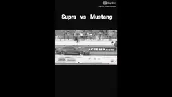 Supra vs mustang