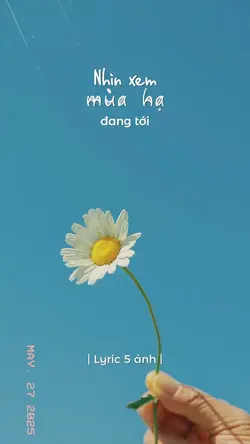 Nhìn xem mùa hạ 🌿