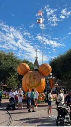 disney 