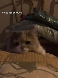 I miss you so much