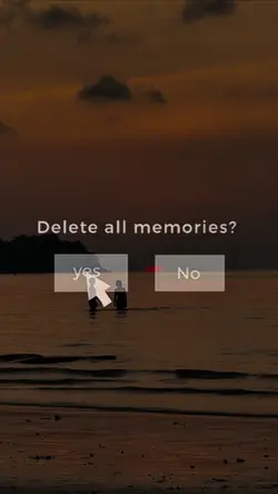 Delete all memories?