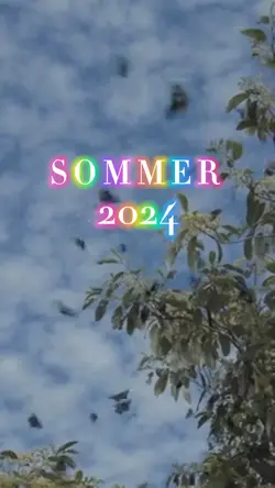 Sommer 2024 