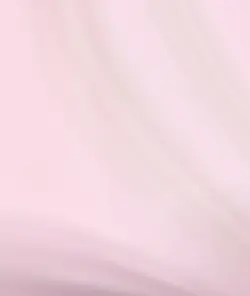 🍡🍡
