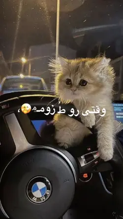 🥰✨💞 وقتی رو طٌ زومم
