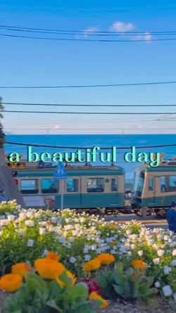 A beautiful day