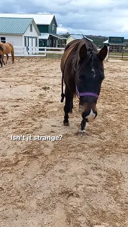 Isn't it strange?