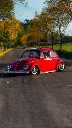 VOLKSWAGEM EDIT