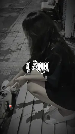 Trình chiếu 
