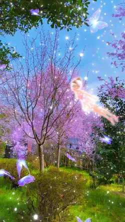 Fairy template
