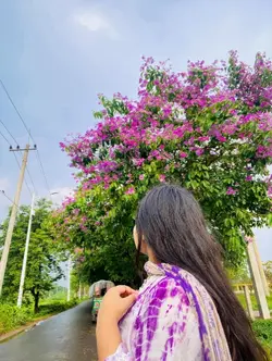 Bangla song