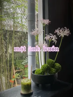 (TvT)