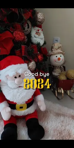 [16] good bye 2024