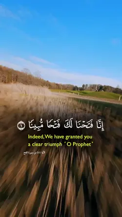 فتحنا لك فتحا مبينا🌺