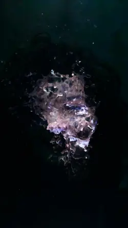 Water Effect
