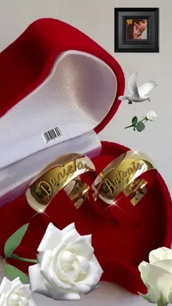 anillos de boda 