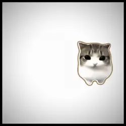 gatinho sim ou não