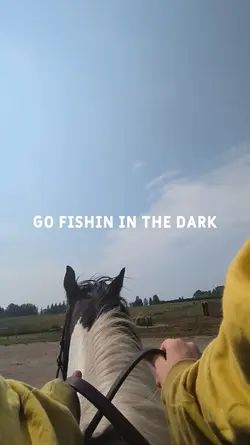 Bareback 