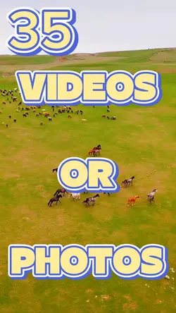 35 Videos Or Photos 