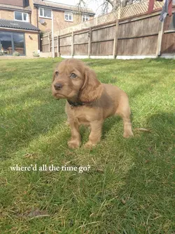 grown up!
