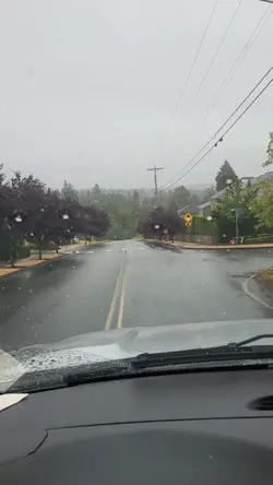 rain