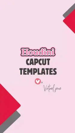 Houdini -Dua Lipa