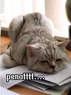 penatt...