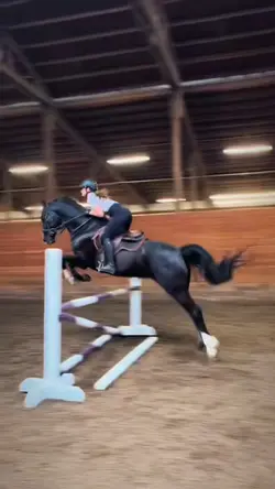 West~eq! HOLY EQ