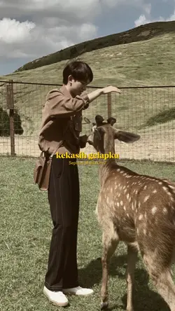 Sephia