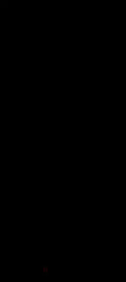 ZAMMIR1994