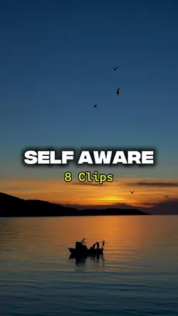 Self Aware 8 Clips