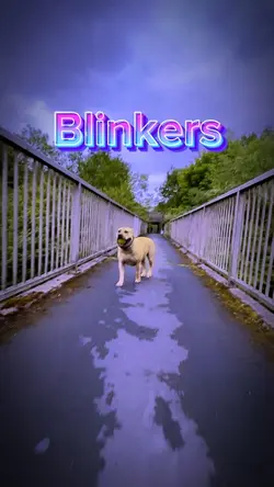 Blinkers