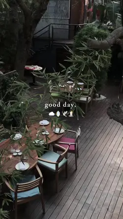 mini vlog