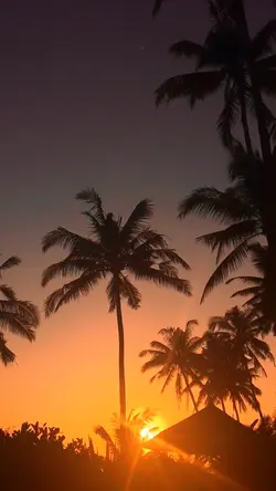 Estetik sunset