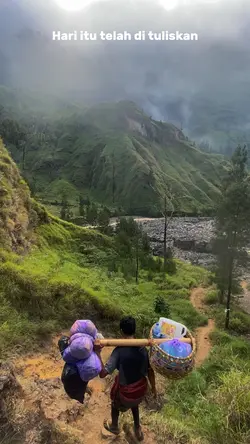 Petir dalam hutan