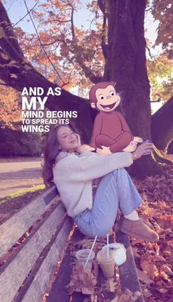 curious george