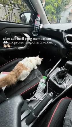 bahan story