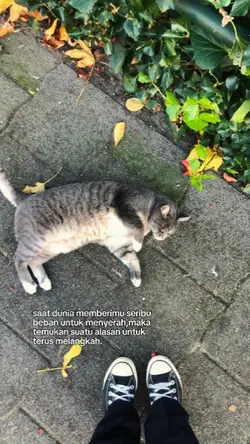 terus melangkah