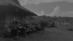 slow nhẹ chuyển màu