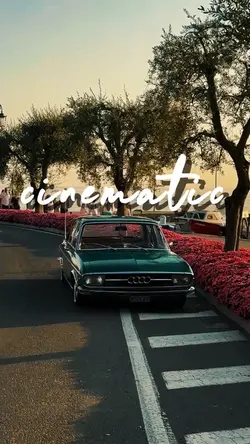 5 Video Cinematic