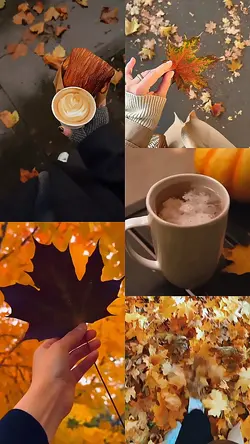 Video 14 clips